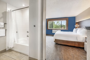 Suite, 1 King Bed, Accessible (Roll-In Shower)