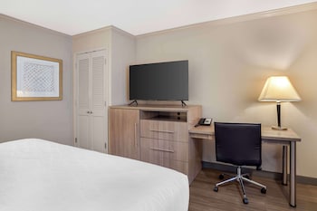 Standard Room, 1 King Bed, Non Smoking, Refrigerator & Microwave