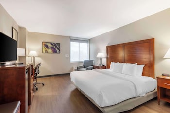 Standard Room, 1 King Bed, Accessible, Non Smoking