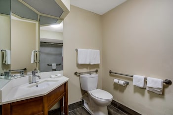 Deluxe Room, 1 Queen Bed, Accessible, Non Smoking (Roll-In Shower)