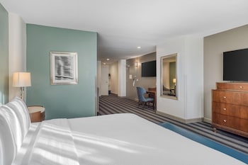 Deluxe Suite, 1 King Bed, Accessible, Non Smoking (Walk-in Shower;with Sofabed)