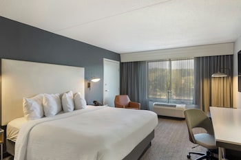 Room, 1 King Bed, Hearing Accessible (Accessible Bathtub)