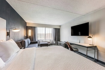 Room, 1 King Bed with Sofa bed