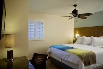 Suite, 1 Queen Bed with Sofa bed
