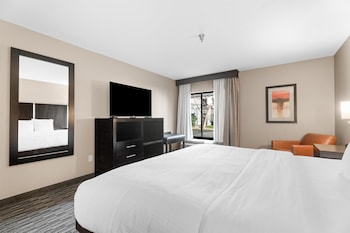 Standard Room, 1 King Bed, Non Smoking