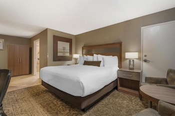 Standard Room, 1 King Bed, Accessible, Refrigerator & Microwave (Refrigerator & Microwave)