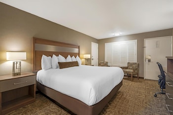 Standard Room, 1 King Bed, Non Smoking, Refrigerator & Microwave