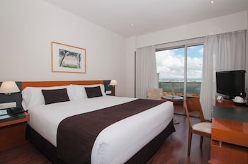 Double Room, 1 King Bed