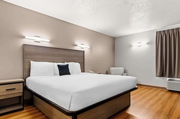 Room, 1 King Bed (Pet Friendly)