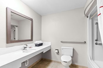 Room, 1 Queen Bed, Accessible