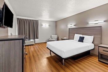 Room, 1 King Bed (Pet Friendly)