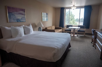 Standard Room 1 King Bed (WheelChair Accessible)