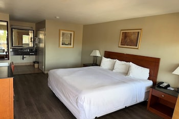 Room, 1 King Bed, Accessible, Microwave