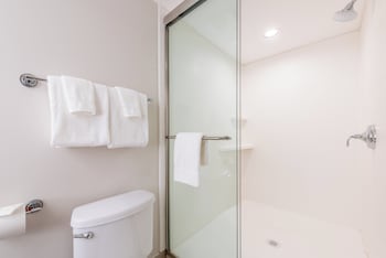Suite, 1 King Bed
