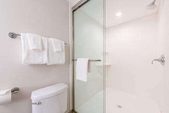 Standard Room, 1 King Bed, Accessible (Roll-In Shower)