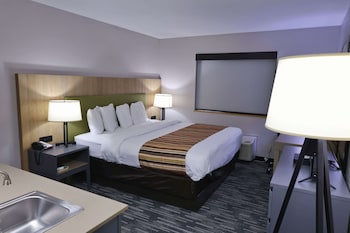 Room, 1 King Bed, Non Smoking