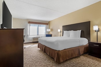 Standard Room, 1 King Bed, Non Smoking, Refrigerator & Microwave