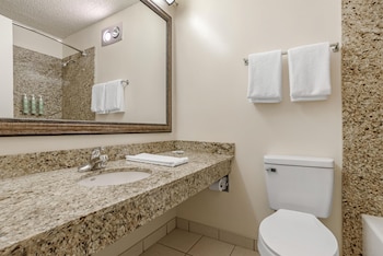 Standard Room, 1 King Bed, Non Smoking, Refrigerator & Microwave