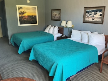 Basic Double Room, 2 Double Beds