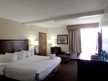 Standard Room, 1 King Bed, Non Smoking (Top Floor)