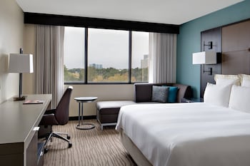 Room, 1 King Bed (Mobility/Hearing Access, Roll-in Shwr)