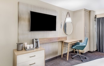 Suite, 1 Bedroom