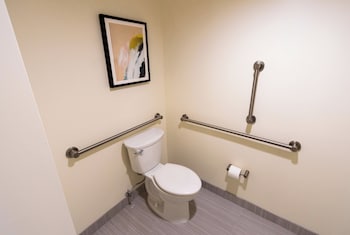 Standard Room, 1 King Bed, Accessible (Accessible Tub)