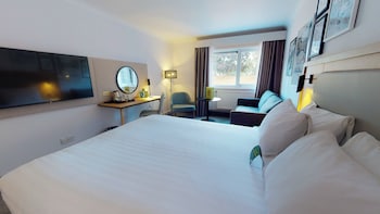 Standard Room, 1 King Bed with Sofa bed