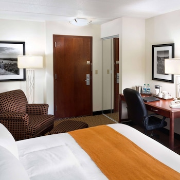 Room, 1 Queen Bed, Non Smoking