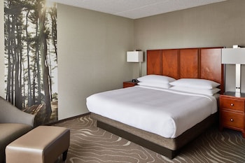 Suite, 1 Bedroom