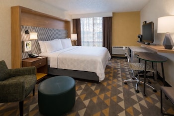 Standard Room, 1 King Bed (Bath/Shower Combo)