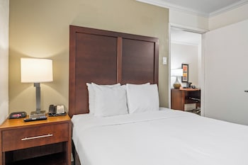 Room, 1 Queen Bed, Non Smoking