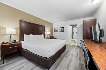 Standard Room, 1 King Bed, Non Smoking