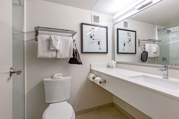 Standard Room, 1 King Bed, Non Smoking, Refrigerator & Microwave