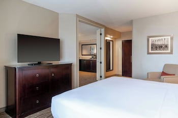 Room, 1 King Bed with Sofa bed, River View