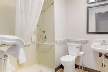 Room, 1 King Bed, Roll-in Shower