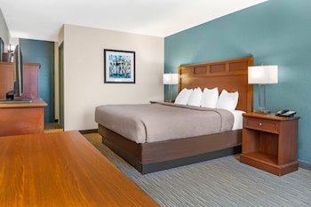 Standard Room, 1 King Bed, Non Smoking