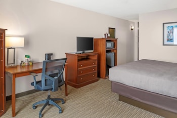 Room, 1 King Bed, Accessible, Non Smoking (Roll-In Shower)
