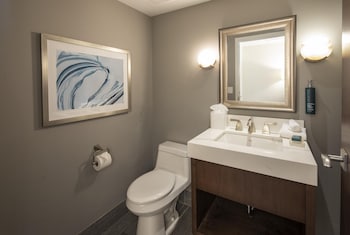 Suite, 1 King Bed with Sofa bed, Mobility Accessible, Balcony (Roll-In Shower, Mobility)