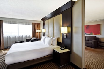 Suite, 1 King Bed