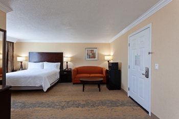 Standard Room, 1 King Bed with Sofa bed
