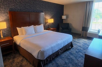 Standard Room, 1 King Bed, Non Smoking
