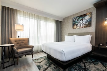 Room, 1 King Bed with Sofa bed (Mobility/Hearing Access, Roll-In Shwr)