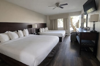 Standard Room, 2 Queen Beds