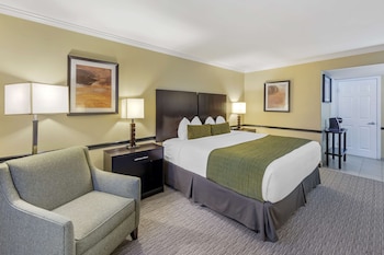 Standard Room, 1 King Bed, Accessible, Bathtub