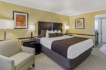 Standard Room, 1 King Bed, Non Smoking, Refrigerator & Microwave