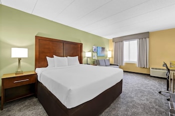 Suite (1 King Bed, 2 Double Beds)