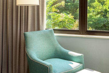 Room, 1 King Bed, Accessible