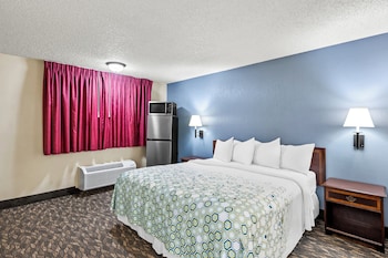 Studio, 1 King Bed, Non Smoking