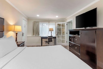 Suite, 1 King Bed, Non Smoking, Refrigerator
